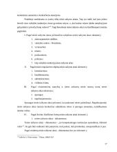 Teisės taikymo samprata ir stadijos 17 puslapis