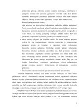 Teisės taikymo samprata ir stadijos 5 puslapis