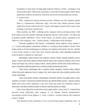 Teisės teorijos objektas ir metodas rašto darbas 9 puslapis