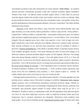 Teisės teorijos objektas ir metodas rašto darbas 10 puslapis