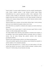 Teisinė valstybė kursinis darbas 2 puslapis