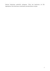 Teisinė valstybė kursinis darbas 17 puslapis