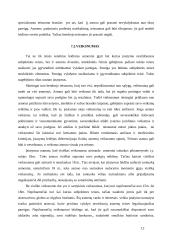 Teisinio santykio sąvoka 12 puslapis