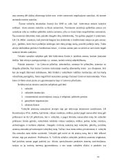 Teisinio santykio sąvoka 14 puslapis