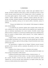 Teisinio santykio sąvoka 10 puslapis