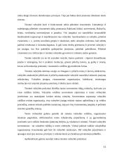 Valdžios kaip valstybės požymio samprata 11 puslapis