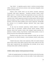 Valdžios kaip valstybės požymio samprata 13 puslapis