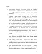 Valdžios kaip valstybės požymio samprata 19 puslapis