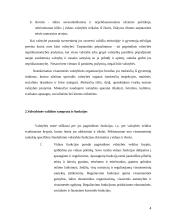 Valdžios kaip valstybės požymio samprata 4 puslapis