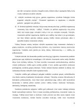 Valdžios kaip valstybės požymio samprata 6 puslapis