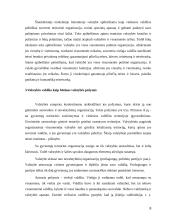 Valdžios kaip valstybės požymio samprata 8 puslapis