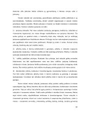 Valdžios kaip valstybės požymio samprata 10 puslapis