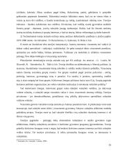 Valstybės aiškinimo modeliai 11 puslapis