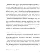 Valstybės aiškinimo modeliai 17 puslapis