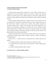 Valstybės aiškinimo modeliai 3 puslapis