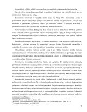 Valstybės aiškinimo modeliai 5 puslapis