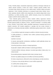 Valstybės samprata, rūšys ir funkcijos 17 puslapis