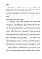 Valstybės samprata, rūšys ir funkcijos 18 puslapis