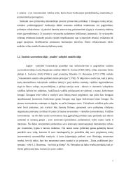 Valstybės samprata, rūšys ir funkcijos 5 puslapis