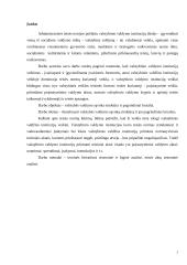 Valstybės valdymo sąvoka, struktūra ir pagrindiniai bruožai 2 puslapis