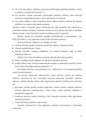Valstybės valdymo sąvoka, struktūra ir pagrindiniai bruožai 14 puslapis