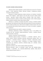 Valstybės valdymo sąvoka, struktūra ir pagrindiniai bruožai 9 puslapis