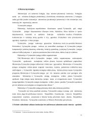 Valstybės valdymo sąvoka, struktūra ir pagrindiniai bruožai 10 puslapis
