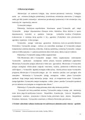 Valstybės valdymo sąvoka, struktūra ir pagrindiniai bruožai 10 puslapis