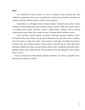 Norminių teisės aktų sisteminimas, priežastys, rūšys 2 puslapis