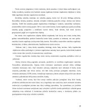 Norminių teisės aktų sisteminimas, priežastys, rūšys 10 puslapis