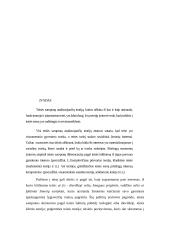 Teisės sampratą analizuojančios teorijos 2 puslapis