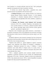 Teisės sampratą analizuojančios teorijos 5 puslapis