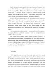 Teisės sampratą analizuojančios teorijos 9 puslapis