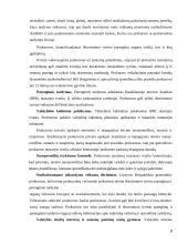 Prokuratūros reikšmė ir vieta LR teisės sistemoje 8 puslapis