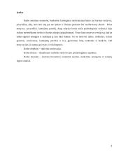 Individo motivacija 2 puslapis