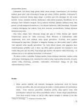 Individo motivacija 11 puslapis