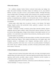 Individo motivacija 3 puslapis