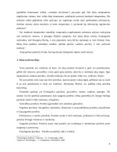 Individo motivacija 4 puslapis