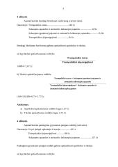 Finansų uždavinių sprendimai 2 puslapis