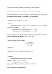 Finansų uždavinių sprendimai 6 puslapis