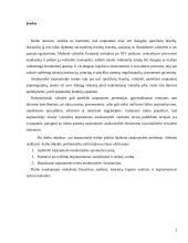 Atsakomybė tarptautinėje teisėje referatas 2 puslapis