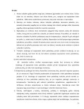 Atsakomybė tarptautinėje teisėje referatas 15 puslapis