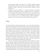 Atsakomybė tarptautinėje teisėje referatas 16 puslapis