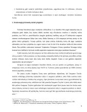 Atsakomybė tarptautinėje teisėje referatas 8 puslapis