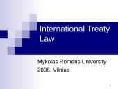 International Treaty Law 