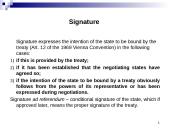 International Treaty Law  17 puslapis