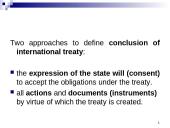 International Treaty Law  3 puslapis