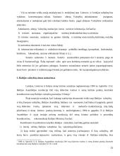 LR sienų su užsienio valstybėmis teisinis įtvirtinimas 11 puslapis