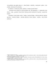 LR sienų su užsienio valstybėmis teisinis įtvirtinimas 12 puslapis