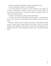 LR sienų su užsienio valstybėmis teisinis įtvirtinimas 14 puslapis